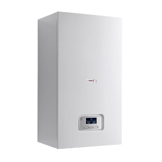 Газовый котел Protherm PANTERA